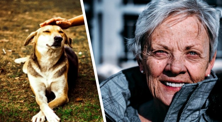 Une femme âgée laisse son héritage de 4,3 millions d'euros à la cause animale : presque rien à sa famille