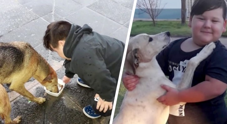 Bimbo di 5 anni organizza una lotteria per raccogliere cibo per i cani randagi: un gesto di generosità sorprendente