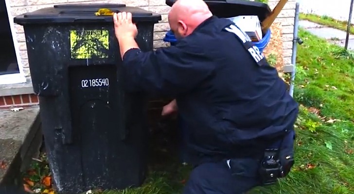 They hear noises from behind the dumpster: what they find will touch your heart