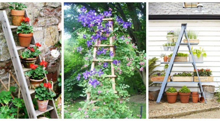 Recycle oude houten ladders: ze kunnen mooie tuindecoraties worden