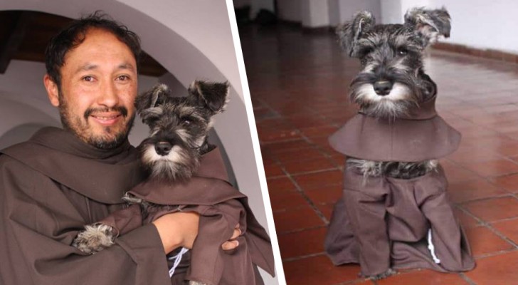 Monastero adotta un cucciolo di schnauzer abbandonato: vive come un vero frate