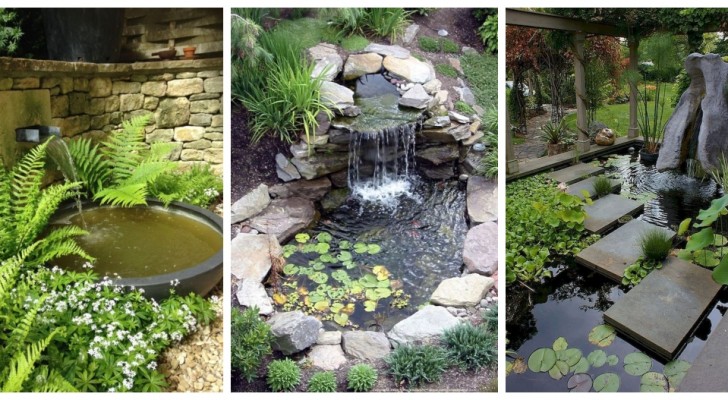 Stagni e laghetti in giardino: lasciati ispirare e crea la tua oasi di pace in casa