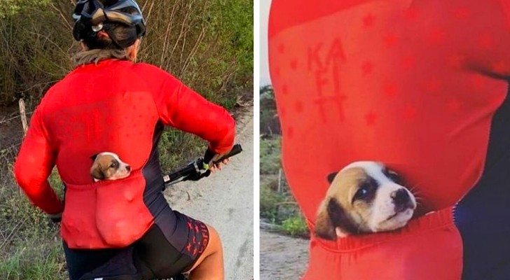 En cyklist hittar en övergiven hund på gatan och räddar den genom att stoppa den i fickan på tröjan