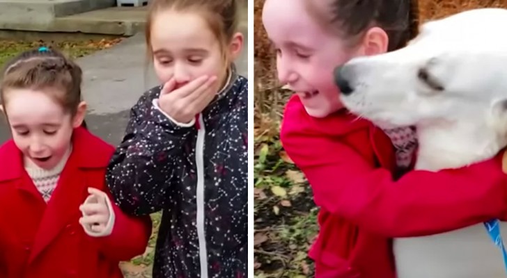 Mamma adotta in gran segreto una cagnolina di cui le sue figlie si erano innamorate: una sorpresa riuscita