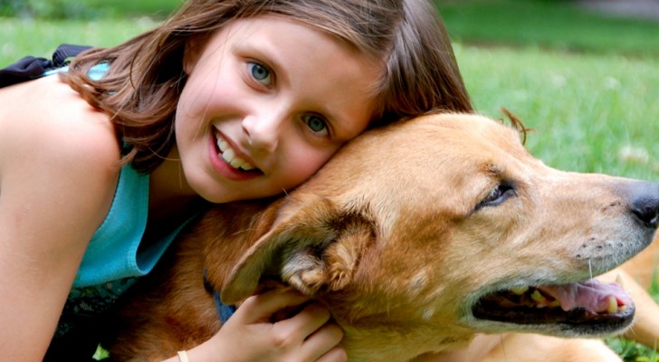 12-Jährige wird von einem Mann mit üblen Absichten verfolgt: Der Hund rettet sie, indem er den Mann angreift