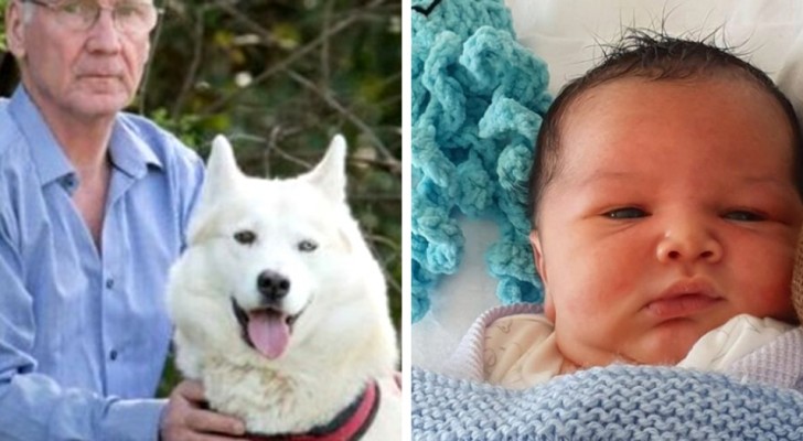 He finds a newborn abandoned in a bush thanks to his dog: