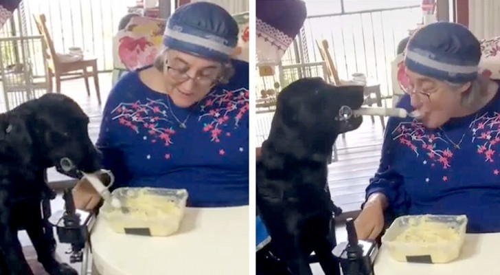 Il cane aiuta la padrona tetraplegica a mangiare grazie ad un cucchiaio speciale: non può muovere le mani