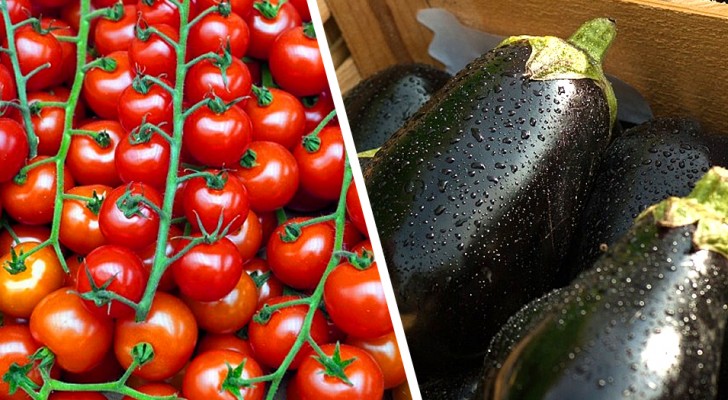 Non tutta la verdura e la frutta andrebbero conservate in frigo: scopri qualche indicazione utile