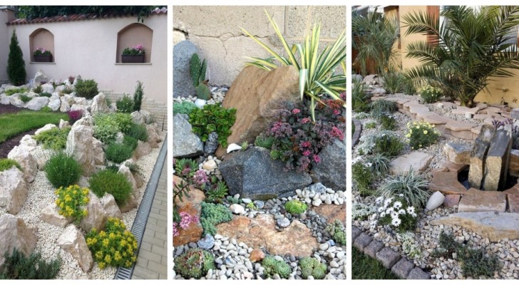 Stenar, växter och blommor: skapa stenträdgårdar och fyll dina gröna rum med originalitet