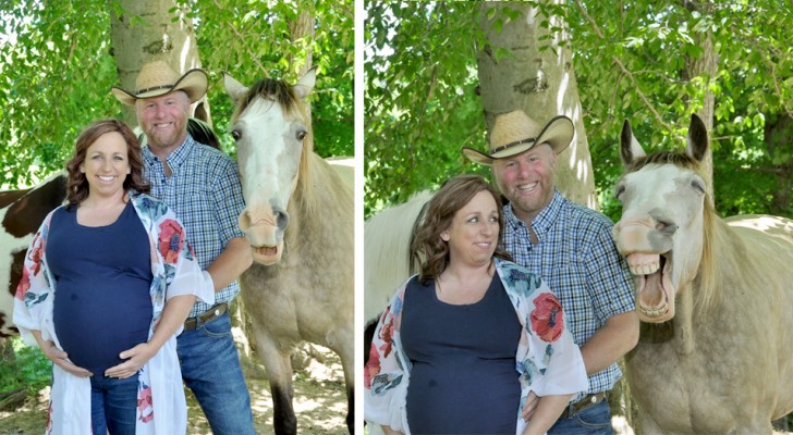 En häst stjäl scenen under en fotografering av ett par som väntar barn
