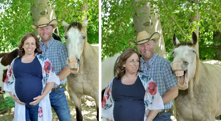 Caballo se roba la escena durante la sesión de fotos de una pareja en la dulce espera