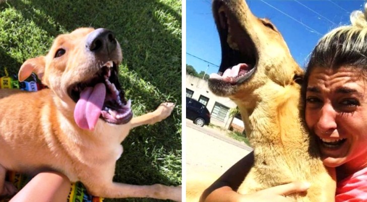 This woman can't stop crying when she finds her dog: "the worst 3 months of my life"