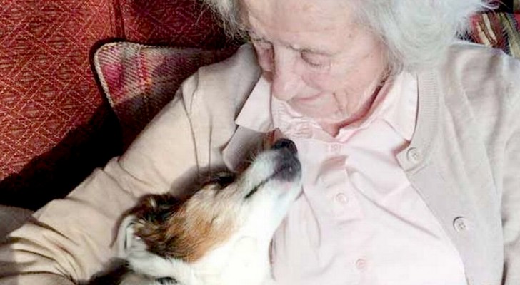 En 96-årig kvinna adopterar en 17 år gammal hund: 