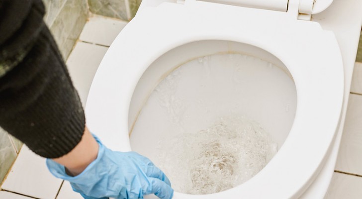 Acido citrico e non solo: i rimedi casalinghi perfetti per eliminare macchie e aloni dal WC