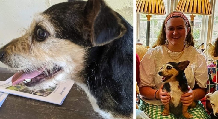 A woman miraculously finds the little dog that had disappeared from her garden 10 years earlier