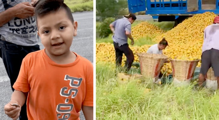 Roubam laranjas de um caminhão que capotou na rua: uma criança se aproxima e se oferece para pagá-las