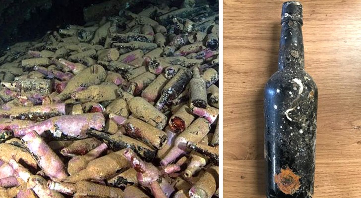 Hunderte von Bierflaschen aus dem 19. Jahrhundert auf dem Meeresgrund gefunden: "Die Hefe lebt noch