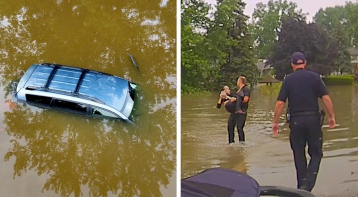 Três policiais nadam para salvar uma mulher de 82 anos presa em seu carro por causa de uma enchente