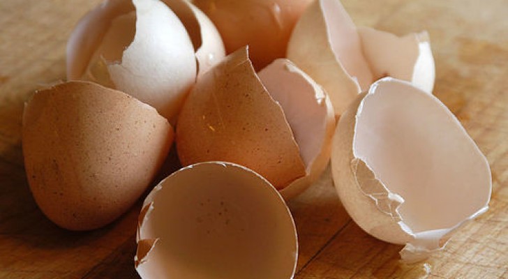 Werfen Sie Eierschalen nicht weg: Entdecken Sie, wie Sie sie in Ihrem Haus und Garten wiederverwenden können