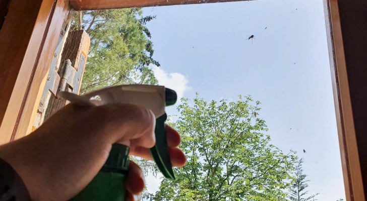  Préparez votre spray DIY contre les insectes à la maison en utilisant des ingrédients communs