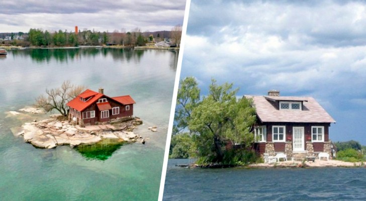 This island is so small that it can only accommodate a house and a single tree