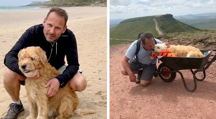 Transporta en una carretilla al perro enfermo para una última excursión antes de despedirlo para siempre