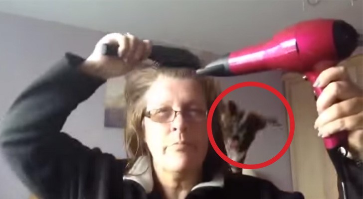 A woman tries to dry her hair ... but someone has a different idea...