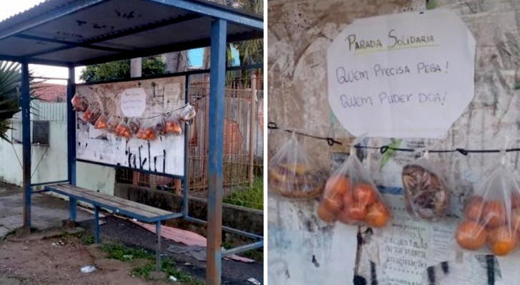 Fruta y pan en bolsas en las paradas de autobús: una idea generosa para ayudar a los más indigentes en Brasil