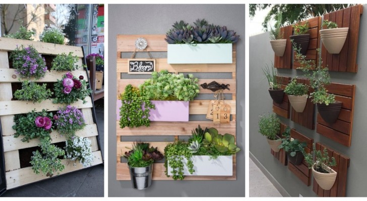 Verticale houten plantenbakken: ontdek hoe je ze, ook met pallets, op maat maakt