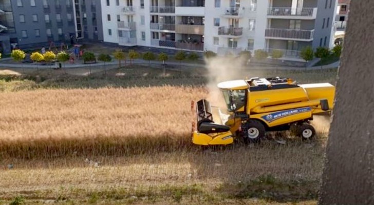 Un agricultor se niega a vender el terreno y ahora trabaja en el campo rodeado de casas y edificios