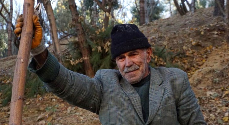 Quest'uomo di 71 anni ha creato un bosco enorme dove prima c'era una discarica: è il suo regalo al mondo