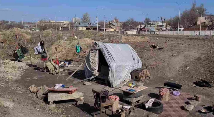 Er hat kein Geld und kein Zuhause: Obdachloser nimmt 30 Hunde auf und lebt mit ihnen auf einem Campingplatz