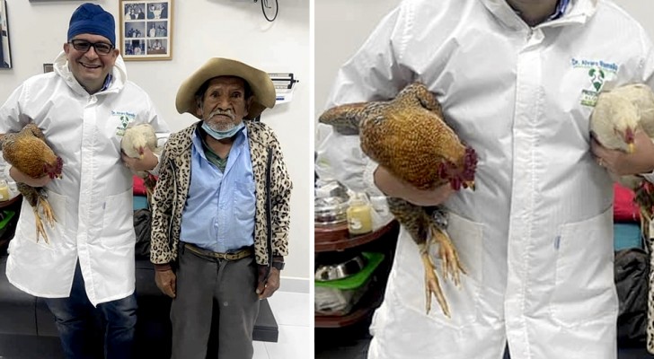 Ele não tem dinheiro para pagar a operação e dá ao seu médico duas galinhas como forma de agradecimento