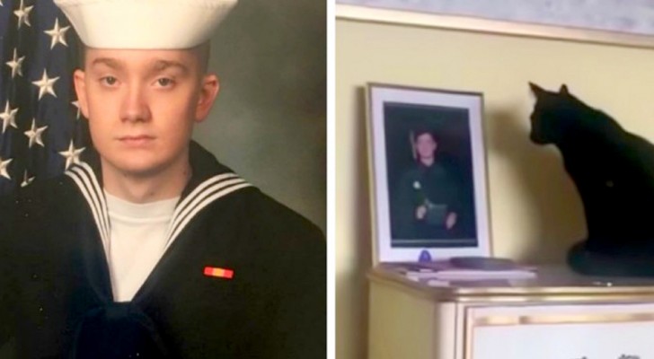 Il part au service militaire et le chat l'attend tous les jours devant sa photo sur la table de chevet