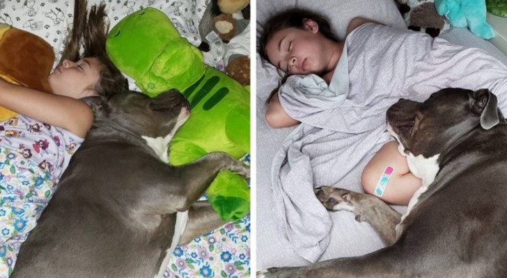 Este perro y su pequeña humana están tan unidos que ya no pueden dormir separados
