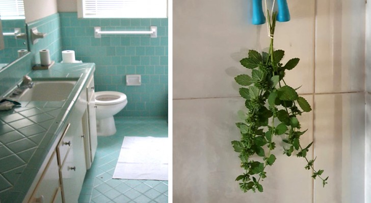 Om de badkamer lekker te laten ruiken met een frisse, natuurlijke geur, kun je munttakjes proberen