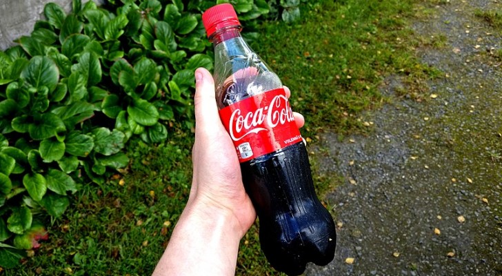 Coca-cola pour l'entretien du jardin ? Découvrez comment l’utiliser dans votre coin vert