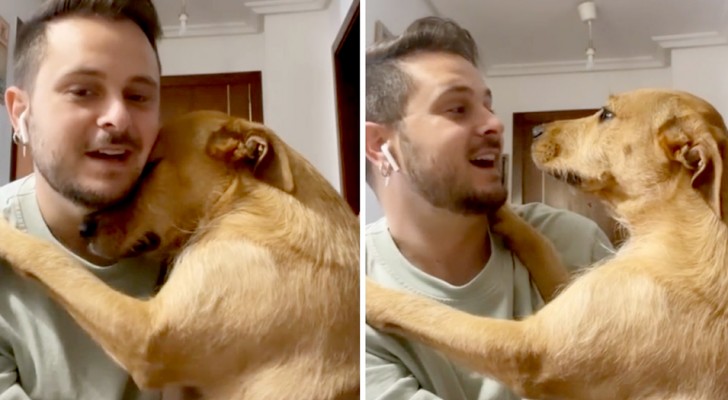 Ze wil niet alleen thuis blijven: een hond knuffelt haar baasje om hem te overtuigen niet weg te gaan