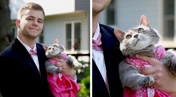 Non aveva nessuno con cui andare al ballo della scuola, così ha portato con sé il suo gatto domestico