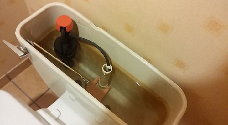 Die richtigen Tipps und Tricks, um den WC-Spülkasten am besten zu reinigen