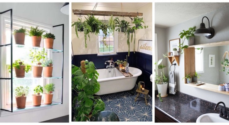 Décorez la salle de bain avec les plantes : choisissez les plus belles étagères parmi ces idées 