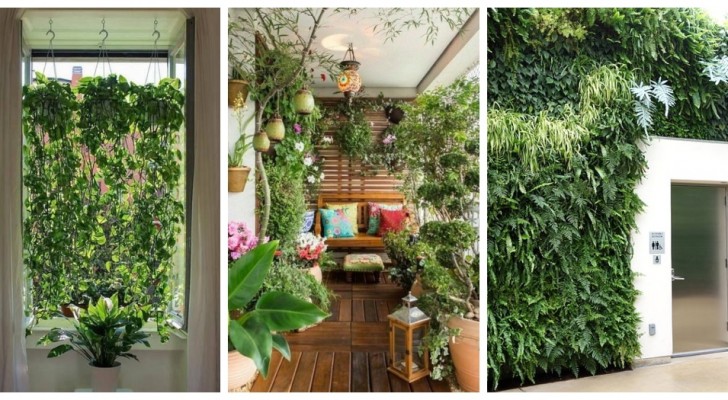 Ta reda på hur du använder växter för att förbättra klimatet i ditt hem och få friskare luft på ett naturligt sätt