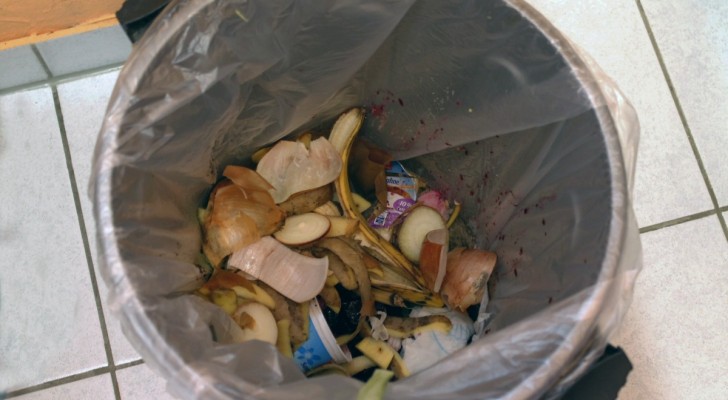 Halte unangenehme Gerüche unter Kontrolle und reinige den Mülleimer mit diesen häuslichen Tricks