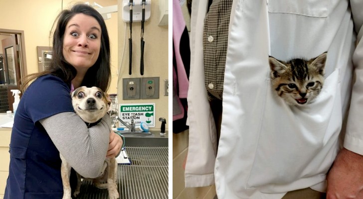 15 vets who couldn't help but show their cutest patients to the world