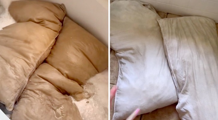 Lava i cuscini del marito dopo 5 anni e documenta tutto in video: lo sporco rimosso è incredibile