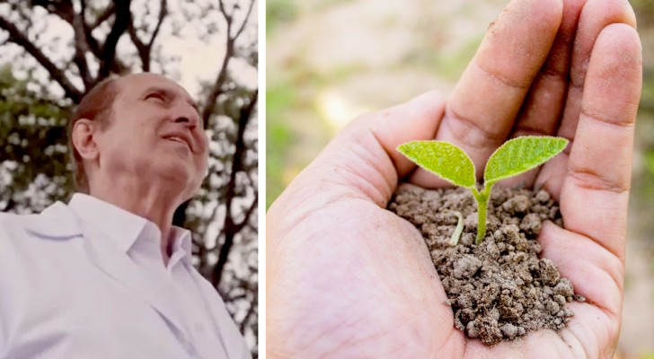 Dieser Arzt schenkt Familien für jedes Kind, das geboren wird, einen Baum zum Pflanzen