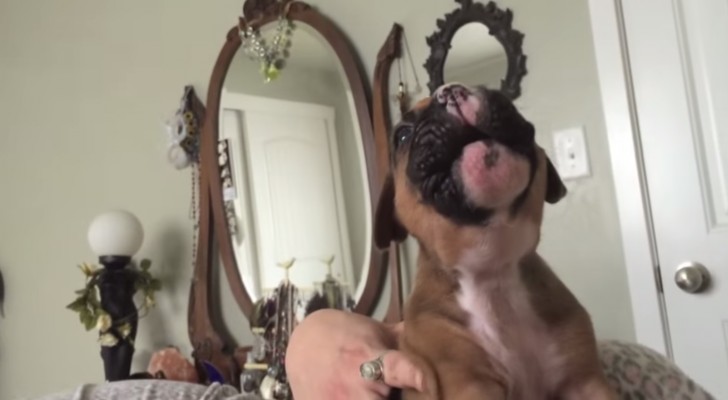 She tries to teach him how to howl: the puppy's response is super sweet!