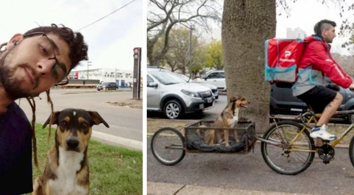 Un livreur modifie son vélo pour transporter le chien qu'il a sauvé de la rue