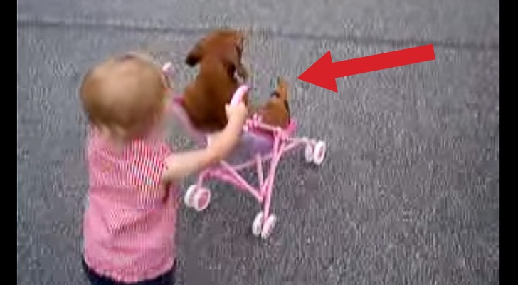 The little girl pushes the stroller and he relaxes: these 2 are hilarious !