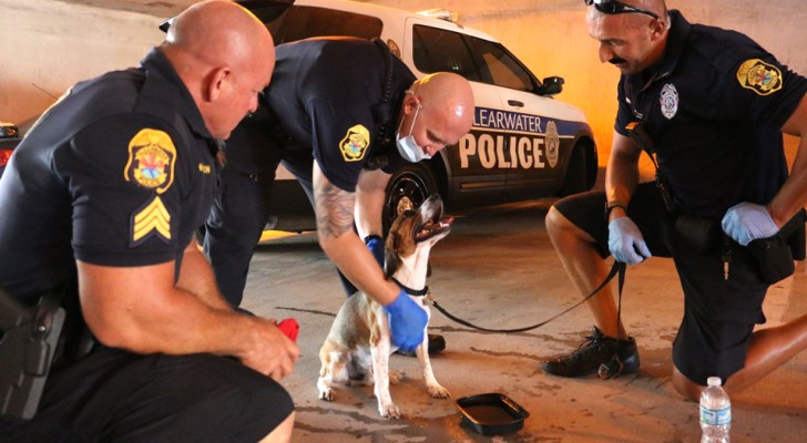 Three policemen notice a dog abandoned in a hot car: they remove the door to save it